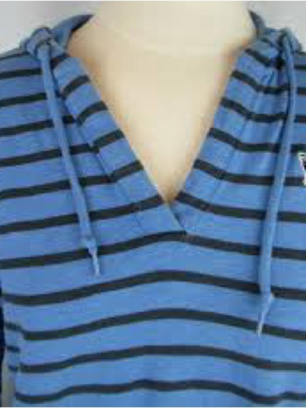 The Black Dog Blue and Black Striped Hooded Tee
